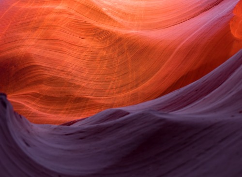 24969676268_b9e04557c3_o.jpg